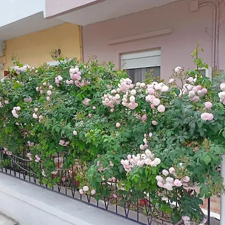 Appartement Family House Kos Down Town Extérieur photo